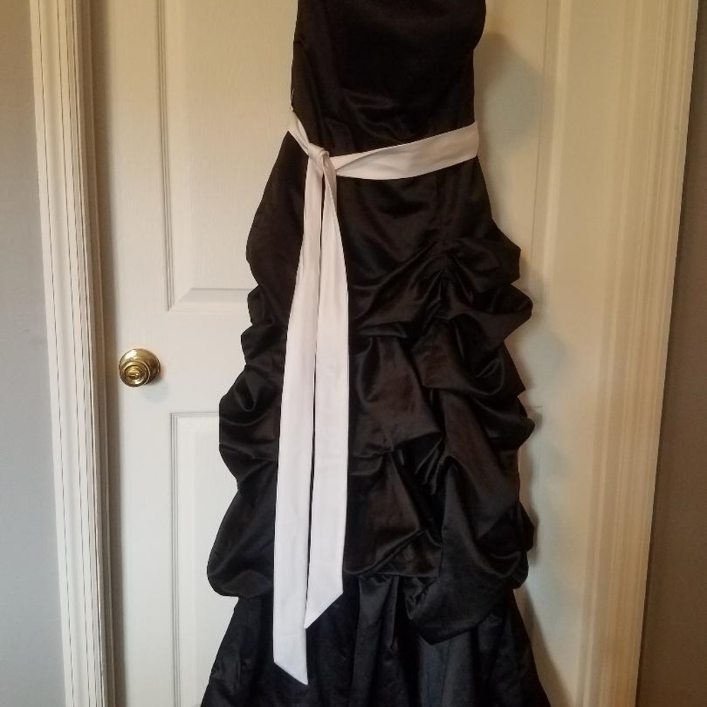 Black Silky Fancy